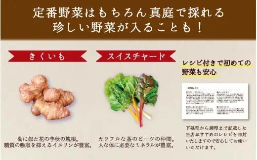 【12カ月定期便】真庭あぐり野菜セット カット野菜が1品入る 10～11品 平飼い卵付き / 産地直送 農家 お試し 岡山県 新鮮 あぐりガーデン 国産 【配送不可地域：北海道／沖縄県／離島】 【ju