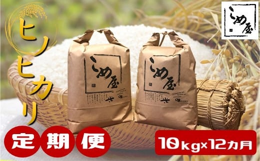 
【定期便12回】熊本県産「ヒノヒカリ」10kg×12カ月
