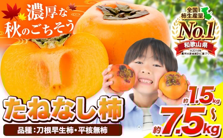 
                  柿 種が無いから食べやすい！たねなし柿（刀根早生柿・平核無柿） 選べる内容量 お試し! 約1.5kg 約2kg 約4kg 約7.5kg 【先行予約】《2026年9月中旬-11月上旬頃出荷》 和歌山県 紀の川市 種なし柿 産地直送 柿 果物 フルーツ 2L～Mサイズ カキ
                