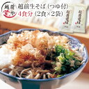 【ふるさと納税】越前そば 生蕎麦 4食つゆ付き / たからや商店 越前宝や そば 越前蕎麦 蕎麦 生そば ソバ 越前そば 贈り物 おろしそば 福井 越前 熨斗 冷蔵 送料無料 [A-088027]