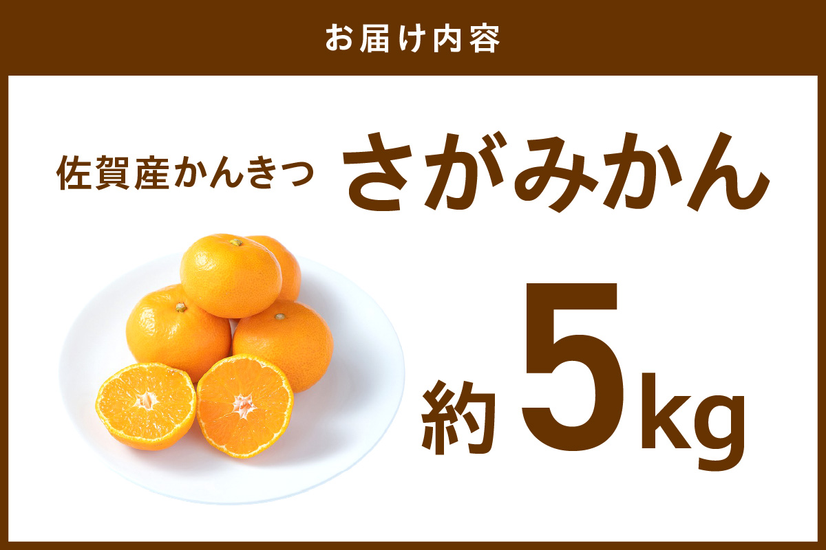 佐賀産さがみかん 約5kg箱 (伊万里市) 柑橘類 147-B800