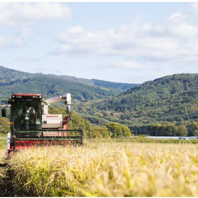 ふるさと納税 深川市 北海道産ゆめぴりか 栽培期間中農薬・化学肥料不使用 玄米5kg |  | 03
