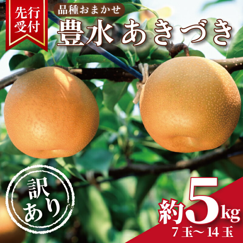 【ふるさと納税】 2026年先行予約 品種おまかせ 梨 約 5kg ( 7玉 ~ 14玉 ) 豊水梨 あきづき 《9月上旬頃～発送》 なし ナシ 梨 ほうすい梨 秋月 旬の梨 和梨 果物 果実 くだもの フルーツ 旬 訳アリ 産地直送 家庭用 千葉県 旭市 香樹園