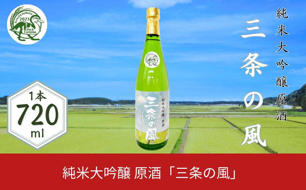 
純米大吟醸 原酒「三条の風」 720ml 1本 日本酒 新潟県 数量限定 五百万石を使用 【011S138】
