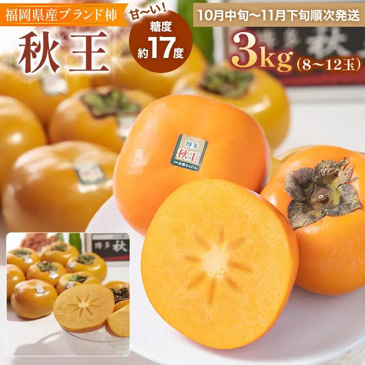 福岡県産ブランド柿「秋王」約3kg(8-12玉)