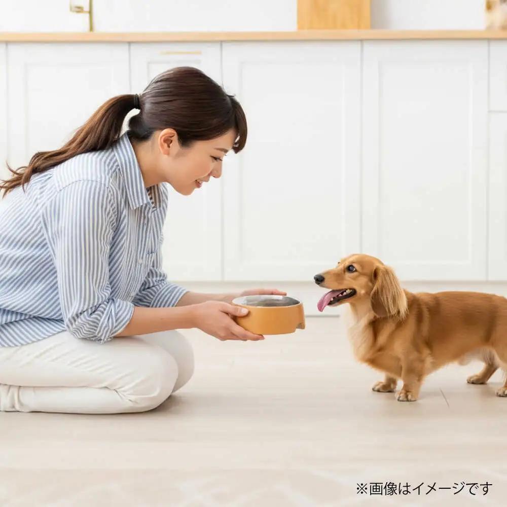 【全12回定期便】国内加工 ペット用 馬肉 切り落とし 約1kg ペット用 BHCY056