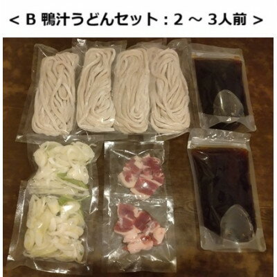 【ふるさと納税】国分寺甚五郎　武蔵野うどんセットB(鴨汁)【配送不可地域：離島】【1678012】