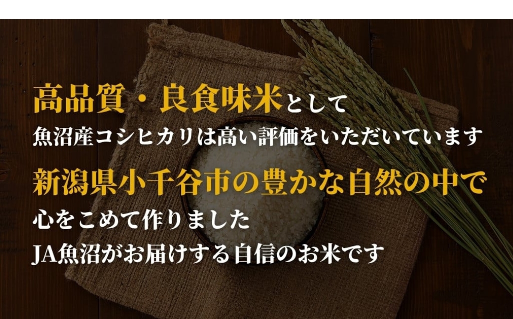令和7年産 新潟県 魚沼産コシヒカリ「おぢや米」合計40kg(5kg×2袋×毎月お届け全4回)  JA魚沼【0002-JA18DB00-01】