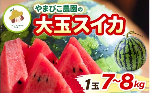 【先行予約】やまびこ農園の大玉スイカ 1玉 (7~8kg) 【2026年6月中旬以降順次発送予定】 【スイカ 西瓜 すいか デザート 果物 くだもの 夏 ジューシー 高糖度 お取り寄せ グルメ 産地直送】 [A-21902]