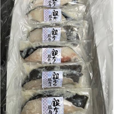 ふるさと納税 伊東市 【毎月定期便】銀だら塩麹漬(100g×6切れ)全3回