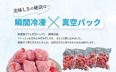 やよいひめ 冷凍いちご 2kg いちご やよいひめ