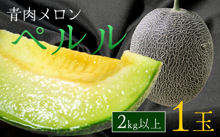 【先行予約】青肉メロンのペルル【2025年7月中旬～順次発送】ふるさと納税 おすすめ 人気 予約 福井県 南越前町 フルーツ メロン めろん 青肉メロン 果物 くだもの 食品 新鮮 ごろっと さっぱり 爽やか 甘い 一苗 一玉 1苗から厳選した1玉 ２kg以上 XLサイズ お届け 産地直送 農家直送 国産 先行予約 数量限定 贈答用 手土産 ギフト 誕生日 送料無料