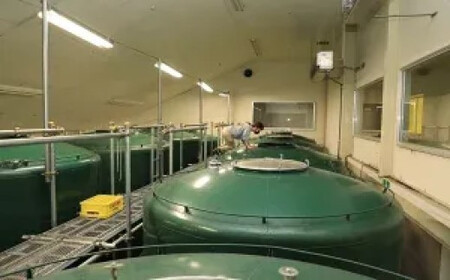 清酒 純米大吟醸稲田姫30原酒720ml