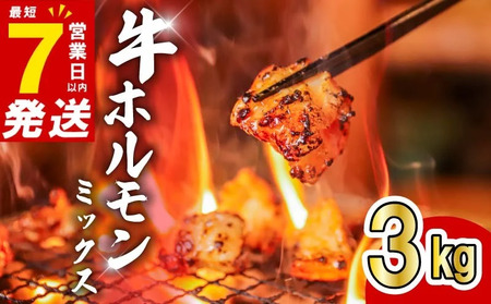 【最短7営業日以内発送】ホルモンミックス 3kg（300g×10P)