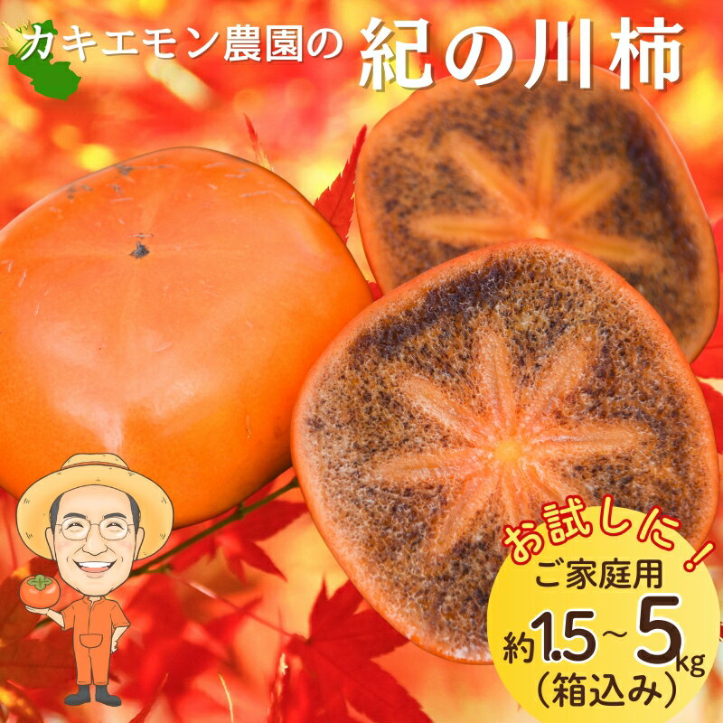 【ふるさと納税】 【訳あり・ご家庭用】紀の川柿 約1.5kg / 約5kg 18 〜 20個 箱込み カキエモン農園 【2025年10月中旬〜11月中旬頃順次発送】 果物 くだもの フルーツ 柿 かき 和歌山 人気 送料無料 | 柿 かき フルーツ 果物 くだもの 食品 人気 おすすめ 送料無料 産地直送
