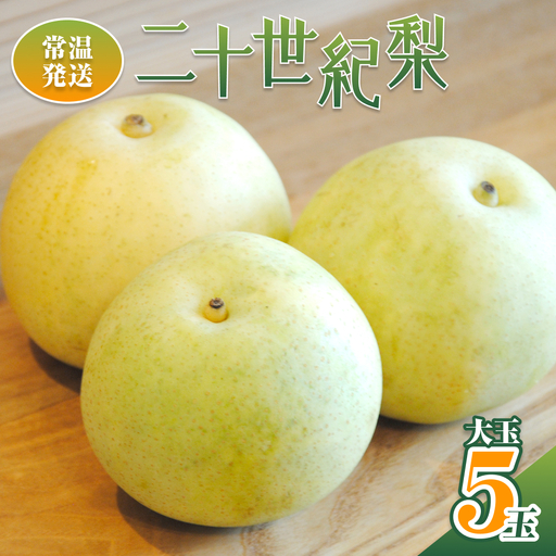 【2026年 先行予約】二十世紀梨 大玉5玉入り※常温発送｜鳥取 井上農園 梨 なし ナシ 青梨 果物 フルーツ 4L～5L【41085】