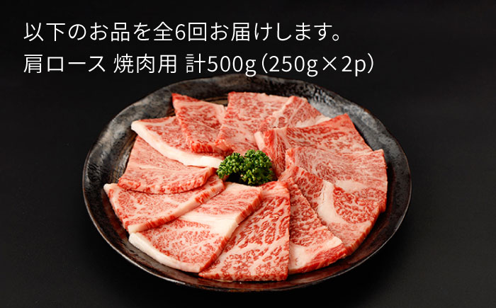 【6回定期便】佐賀牛 肩ロース 焼肉用 計500g（250g×2p）【一ノ瀬畜産】 [NAC153]
