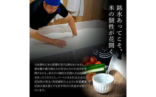 【四国一小さなまちの地酒】★ふるさと納税限定★ 美丈夫 『田野ラベル』一升瓶 純米酒＆純米吟醸2種 1800ml×各2本 一升 一升瓶 酒 お酒 地酒 純米吟醸 純米酒 日本酒 おさけ 15度 限定 