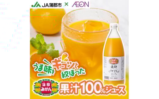 【G0625】【数量限定】蒲郡みかんジュース（ストレート果汁100％みかんジュース）