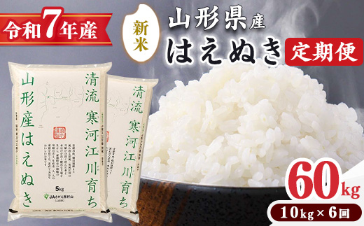 ＜2025年11月中旬より6回＞【令和7年産 定期便】はえぬき計60kg！お米 定期便（10kg×6回）！清流寒河江川育ち 山形産はえぬき 2025年産　195-C-JA013-202511中