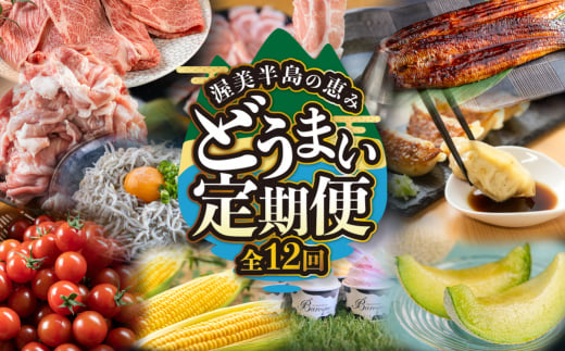 渥美半島の恵み どうまい 定期便 全12回 （ しらす ブランド豚 餃子 ジェラート 田原ポーク とうもろこし うなぎ 蒲焼き 蒲焼  メロン マスクメロン 地鶏 名古屋コーチン トマト 野菜 ミニトマト 牛肉 和牛 鰻 青うなぎ  ) ご当地 人気  12か月