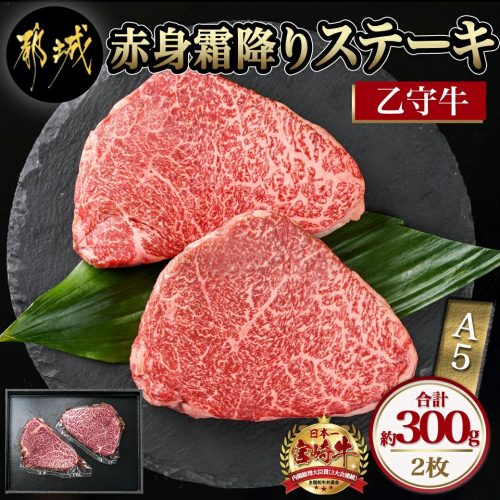 数量限定!【宮崎牛A5】≪赤身霜降り≫モモステーキ 計約300g(2枚) (乙守牛)_19-6501