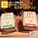 【ふるさと納税】ミハラニアン カスタードプリン 2種類 6個セット 塩カスタードプリン レモンカスタードプリン かねしょう スイーツ デザート 洋菓子 おやつ お菓子 菓子 ギフト 010003