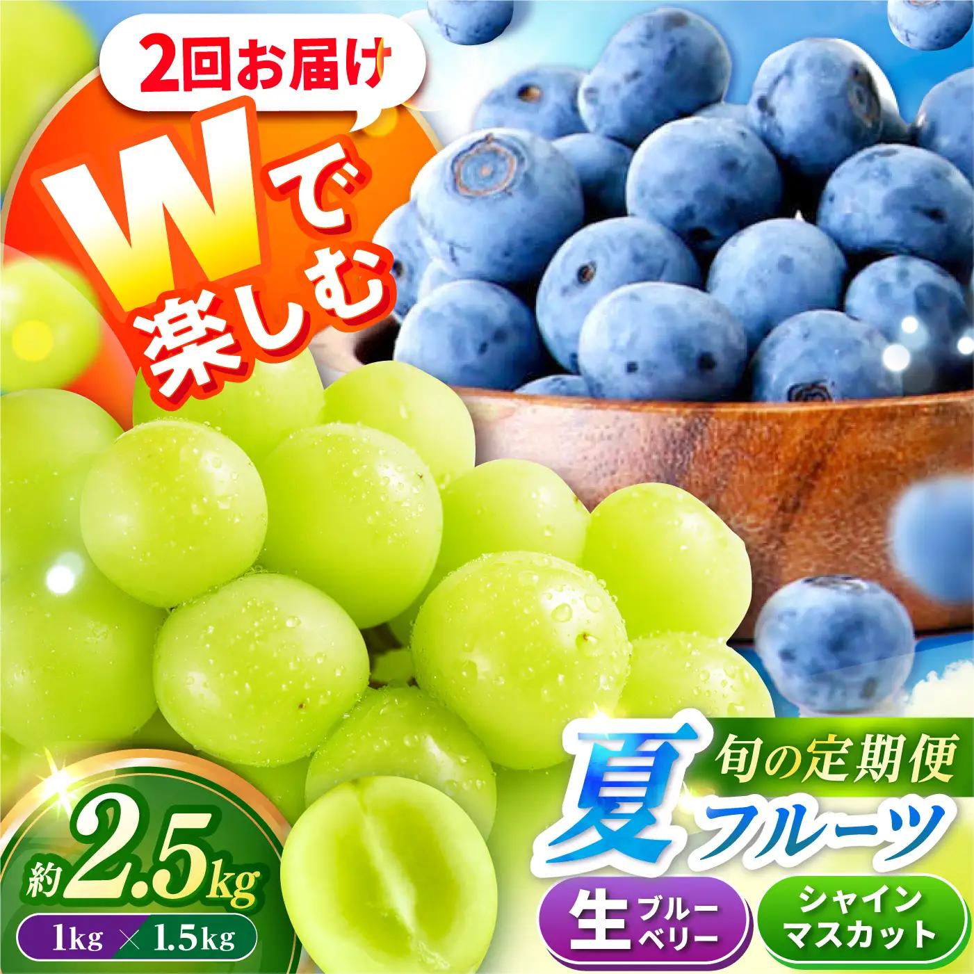 フルーツ2回定期便（ブルーベリー 約1kg・シャインマスカット 約1.5kg） 大村市 おおむら夢ファームシュシュ/ ブルーベリー ぶるーべりー ぶどう ブドウ 葡萄 フルーツ定期便 シャインマスカット[ACAA492]