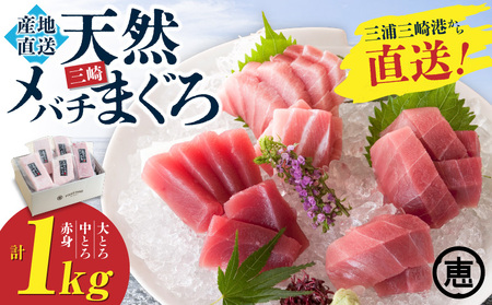 【至福のひと時】天然目鉢まぐろ 1kg（大トロ200g、中トロ400g、赤身400g） M020-026-01 