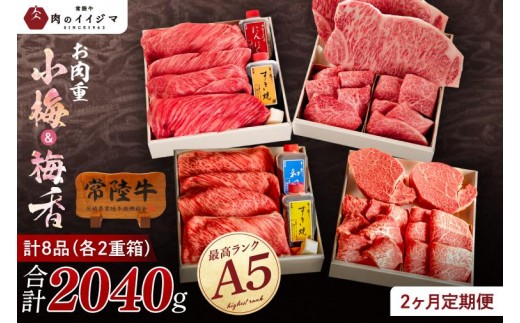 
                  2ヶ月 定期便 肉 ギフト プレゼント 誕生日 常陸牛A5肉重～小梅と梅香～〈重箱入り〉すき焼き 牛肉 焼肉 焼き肉 セット 高級 しゃぶしゃぶ ステーキ 国産牛 黒毛和牛 お中元 敬老の日 お取り寄せ お祝い 内祝い 出産 結婚 快気祝いプレゼント 誕生日 ギフト対応 茨城県 水戸市 肉のイイジマ（DU-72）
                