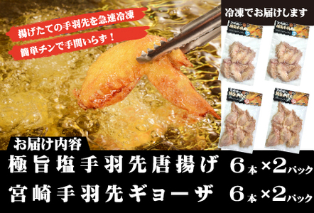 【レンジでチンするだけ♪】極旨塩手羽先唐揚げ 宮崎手羽ギョーザ セット（鶏肉 手羽先 手羽 唐揚げ 餃子 ギョウザ 調理済み 冷凍 人気）