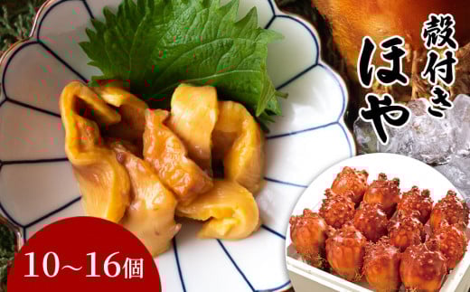 fc-39-019 殻付きほや 【5月中旬～7月末頃期間限定 お届け便】 ヤマキイチ商店 