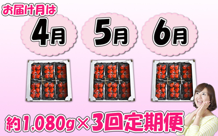 【3回届く！（4月～6月）】福津産『空飛ぶあまおう』約1,080g×3回定期便【スカイフローラファーム】[G7056]