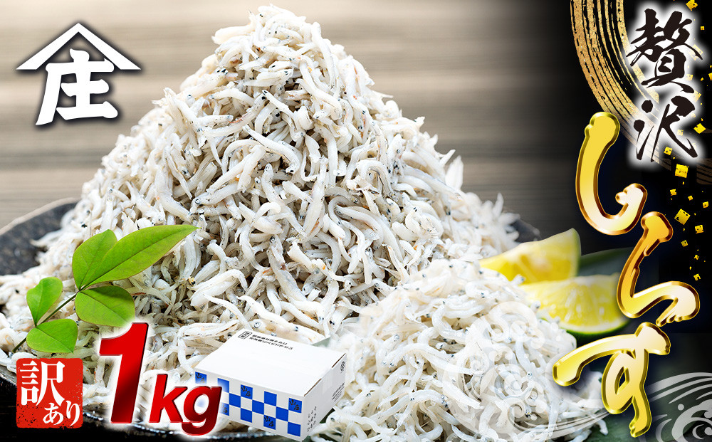 
                  【最短翌日発送】 訳あり しらす 1kg ワケアリ 冷凍 ちりめん しらす干し 減塩 極み ごはん 丼 パスタ チャーハン サラダ 魚  シラス sirasu しらすごはん シラス しらす しらす丼 人気しらす 美味しいシラス 海鮮丼 訳あり品 ワケアリ品 ワケアリ わけあり WAKEARI shirasu sirasu SIRASU 人気シラス 海鮮 魚 魚貝 料理 山庄 愛知県 南知多町 師崎
                