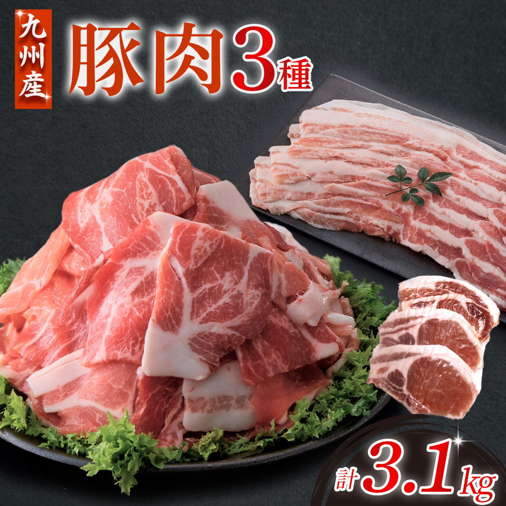 【E020】【部位3種食べ比べ!!】【数量限定】九州産豚肉 3種セット 計3.1kg