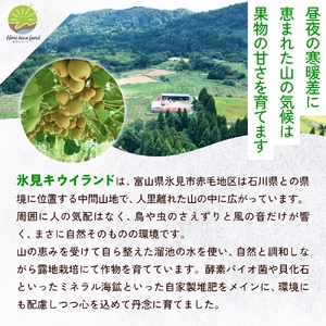 【先行予約】富山県産スイカ 羅皇 中玉 2玉 （3-4kg/玉） 【2026年8月以降順次発送】 スイカ 夏 果物 フルーツ 富山県 氷見市