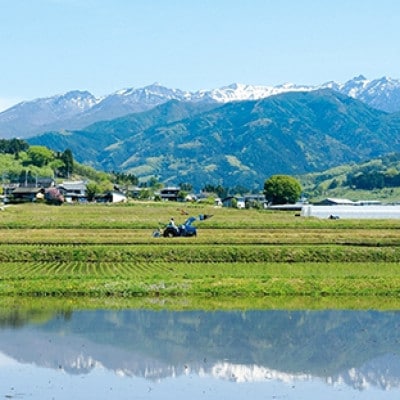 【令和8年産】雪ほたか5kg【川場村産こしひかり】