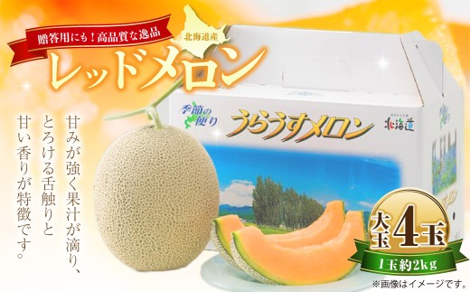 レッドメロン 大玉 4玉 （1玉 約2kg） 【2026年7月上旬～7月下旬迄順次発送予定】 果物 フルーツ メロン めろん 赤肉 赤肉メロン 贈答 北海道 浦臼町