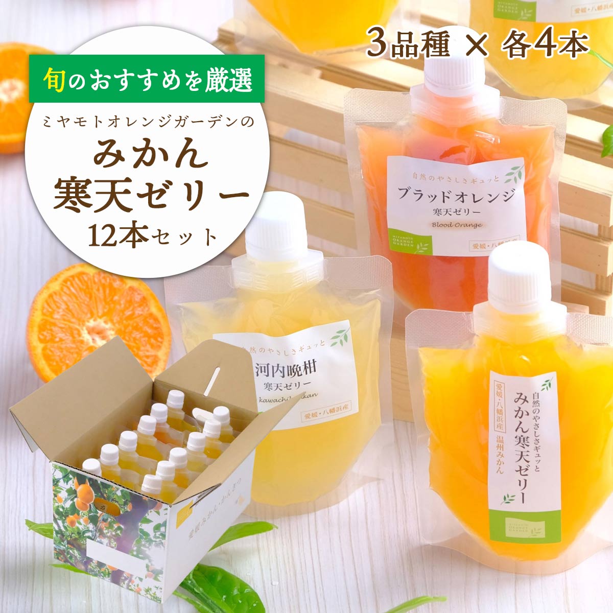 【ふるさと納税】愛媛の人気柑橘を厳選!旬のおすすめ みかん寒天ゼリー12本セット(3種×各4本)【D25-14】_ ゼリー 寒天 デザート スイーツ セット みかん ミカン 柑橘 フルーツ ふるーつ 果物 くだもの 愛媛 食べ比べ 産直 産地直送 【1255533】 YWTAP008