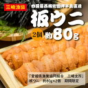 【ふるさと納税】【数量限定】【10/15までの期間限定受付】佐田海士の板ウニ（赤ウニ）約80g×2　※北海道・東北地方・沖縄・離島への配送不可　※2024年9月下旬～10月下旬頃に順次発送予定