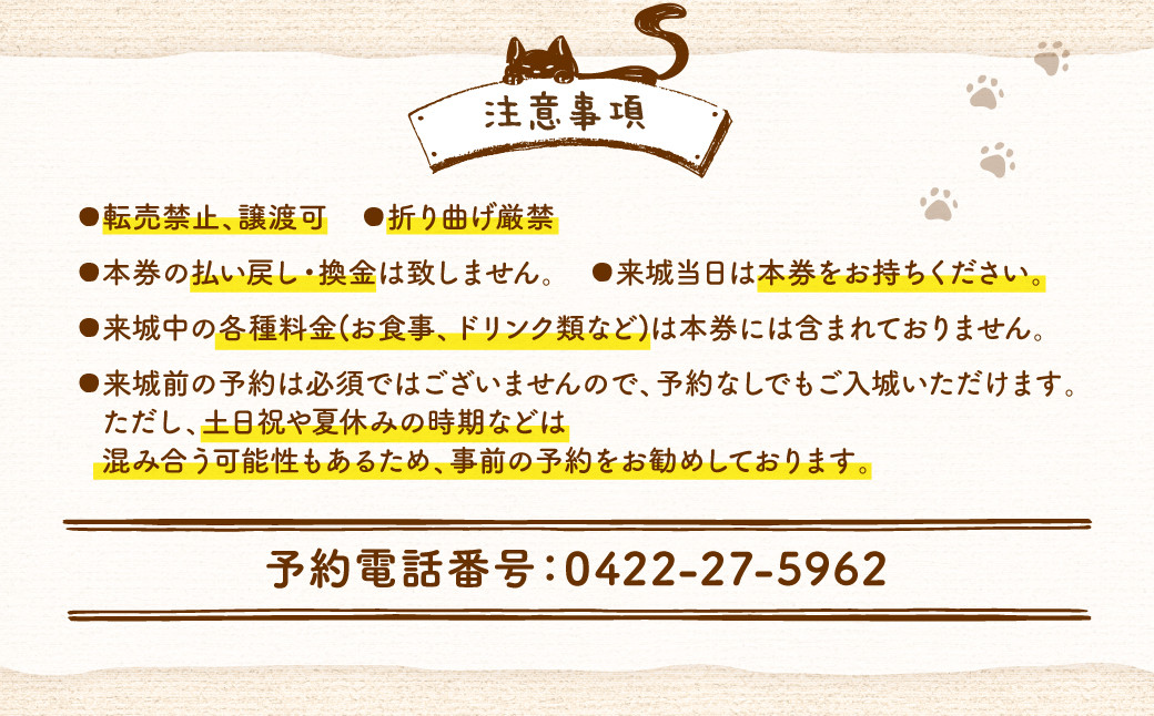 吉祥寺プティット村 ｢Cat Café てまりのおしろ｣ 入城ペアチケット