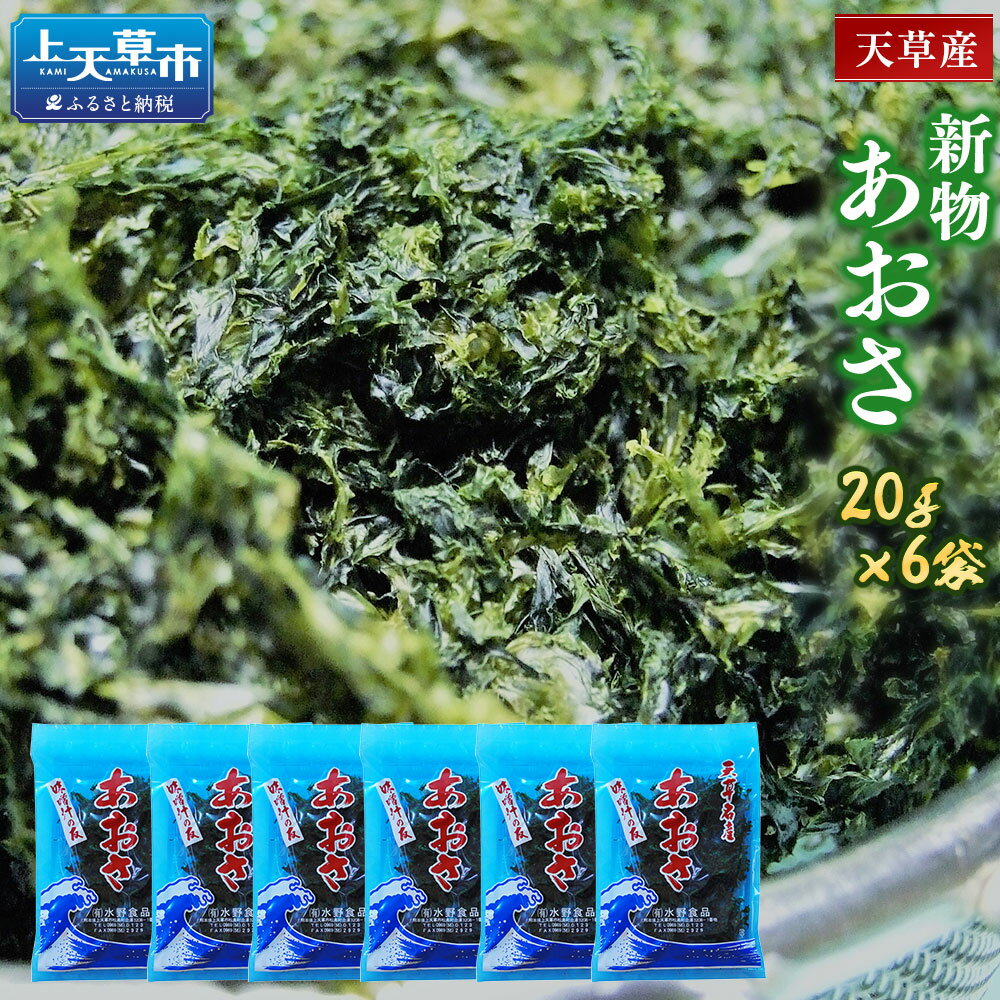 【ふるさと納税】＜R8年熊本地震復興支援＞ 天草産あおさ (乾燥) 20g×6袋 15000円 乾燥あおさ アオサ 青のり 熊本県産 九州 海藻 あおさ のり 青さのり あおさ海苔 味噌汁 aosa ヒトエグサ 熊本フード ふるさと納税あおさ 故郷納税 返礼品 味噌汁の具 お味噌汁 乾物 小分け