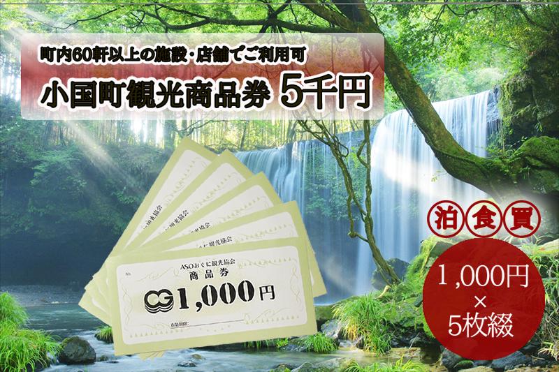 【ASOおぐに観光協会】熊本 阿蘇 小国町 杖立温泉 わいた温泉郷 湯けむり 蒸し湯 ジャージー牛乳 小国杉 旅行 観光 宿泊 飲食 お買い物 お土産 商品券 宿泊券 1000円券 5枚 5千円 現地払い利用 地域振興 旅行支援