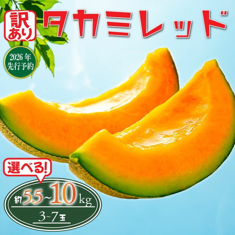 【ふるさと納税】 2026年 先行予約 訳あり メロン 赤肉 選べる 約5.5kg / 約10kg 果物 くだもの フルーツ タカミレッド めろん meron 貴味レッド デザート 糖度 おすすめ 高級 人気 旬 訳アリ 青果 贈り物 ギフト プレゼント 産地直送 送料無料 千葉県 旭市 たかの果樹園