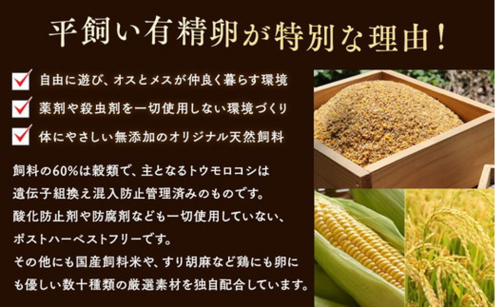 【12ヶ月定期便】 定期便 お楽しみ 毎月届く《かながわブランド認定》 平飼い有精卵 さがみっこ 30個（10個×3パック）×12ヶ月｜ 神奈川県 相模原市 たまご 卵 鶏卵 玉子 生卵 平飼い ケー