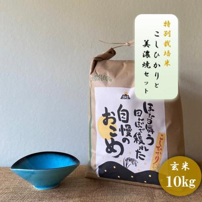 ふるさと納税 多治見市 【令和7年産:玄米】特別栽培米コシヒカリ(10kg)+【美濃焼】青輝貫入楕円小鉢(2個)