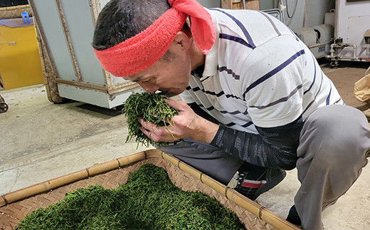 嬉野紅茶の生産の様子