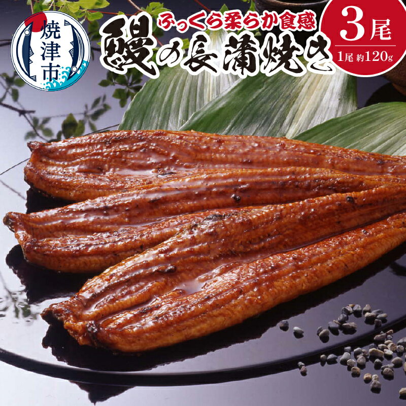 【ふるさと納税】 うなぎ 魚 鰻 長蒲焼き 長焼き 蒲焼き 冷凍 焼津 約120g×3尾 詰合せ たれ・山椒 a29-002