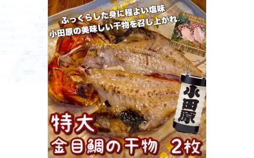 超特大金目鯛の干物 2枚