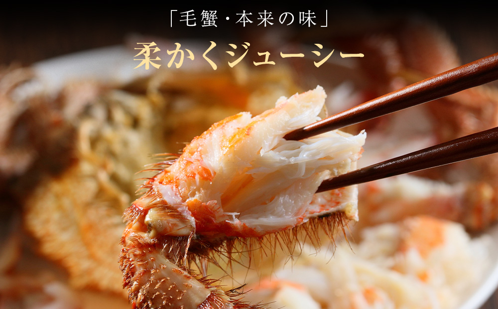 【2025年4月以降発送】北海道 利尻・宗谷産 毛ガニ 特大サイズ（900g前後） 2尾セット＜利尻漁業協同組合＞